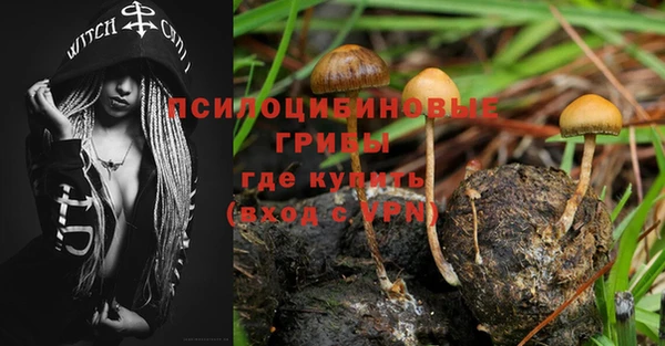 молекула духа Алзамай
