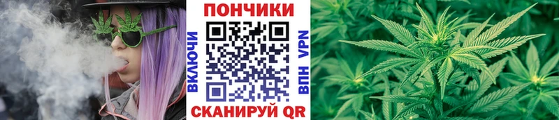 купить  цена  Анжеро-Судженск  Бошки Шишки индика 
